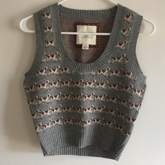 American Eagle Outfitters Jackets & Blazers - American Eagle Sweater Vest